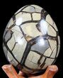 Septarian Dragon Egg Geode - Crystal Filled #40902-3